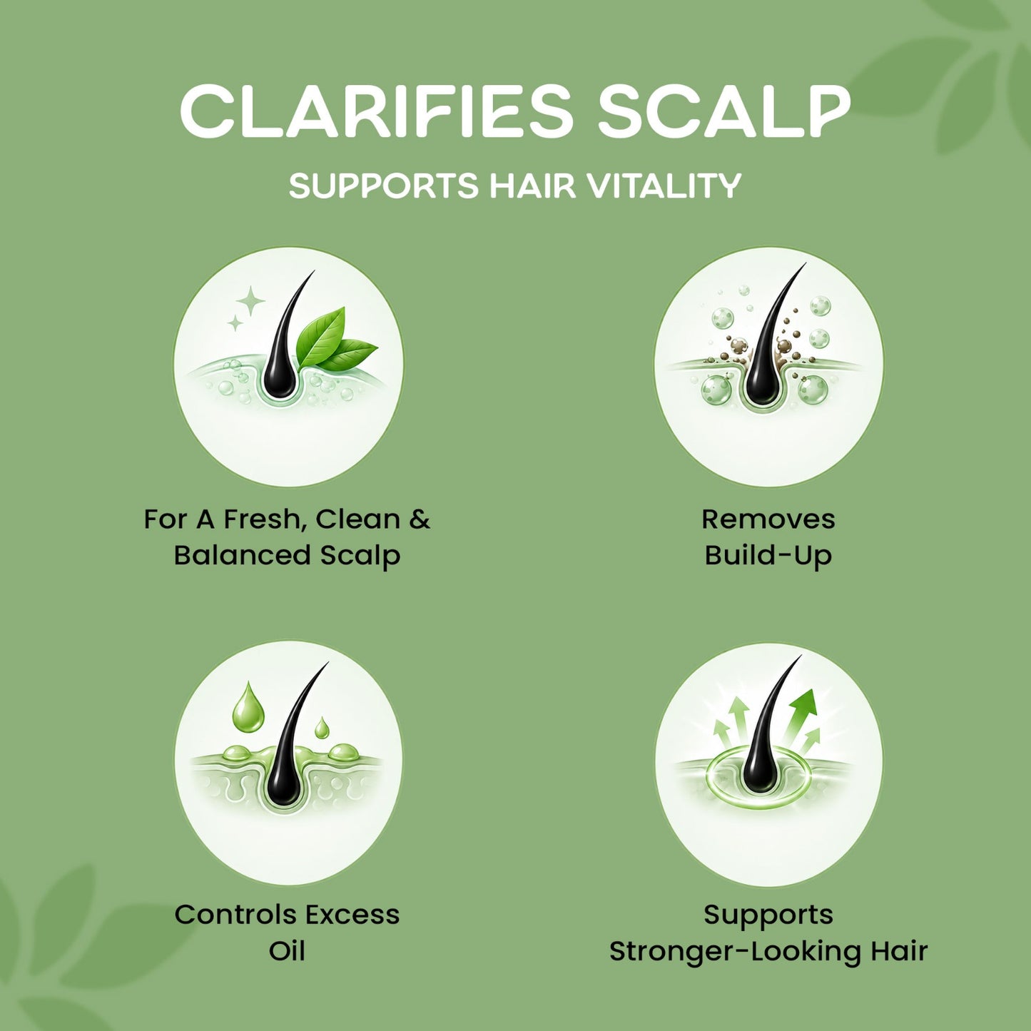 Delvira Biotin Rosemary Scalp Tonic Shampoo with Rosemary, Salicylic Acid & Biotin | Clarifying Hair Wash for Oily Scalp, Flakes, Excess Oil & Buildup | Daily Care Formula for Men & Women - 250 ml