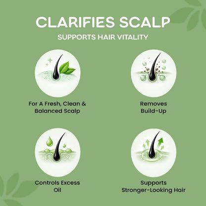 Delvira Biotin Rosemary Scalp Tonic Shampoo with Rosemary, Salicylic Acid & Biotin | Clarifying Hair Wash for Oily Scalp, Flakes, Excess Oil & Buildup | Daily Care Formula for Men & Women - 250 ml